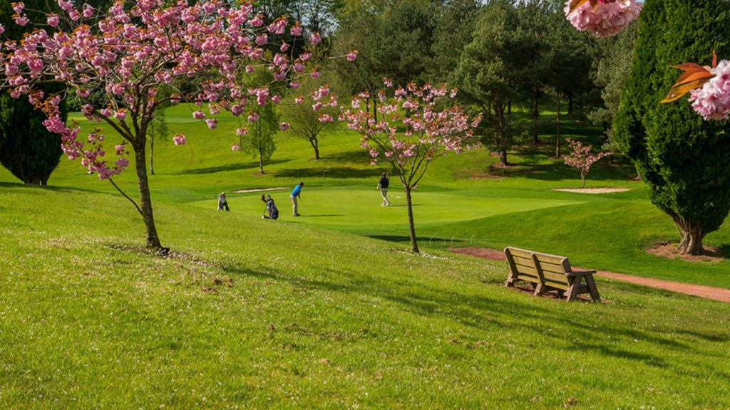 Golfers on a green course surrounded by trees with pink blossoms and a wooden bench in the foreground.