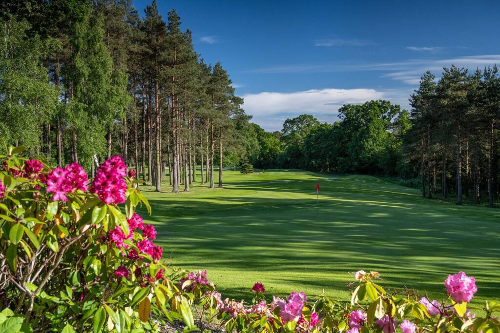 Golf course with lush green fairway, surrounded by tall trees and vibrant pink flowers in the foreground, under a clear blue sky.