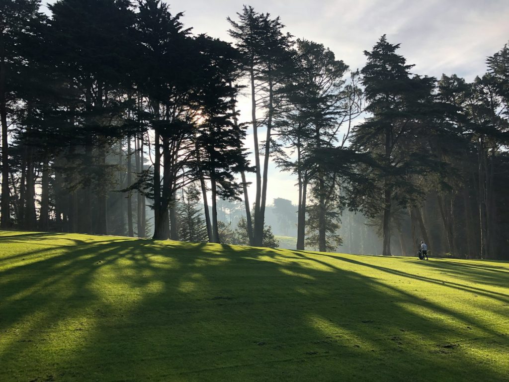 Sunrise casts long shadows of tall trees on a grassy field. A person with a bicycle is visible in the distance.