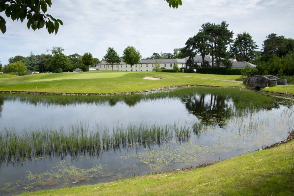 lake & back of house roganstown hotel